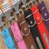 Pet supplies, pet PU rivets, dog collars, multi-color adjustable neck collars, direct sales from pet supplies manufacturers details Picture